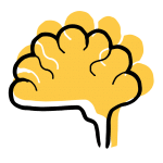 cerveau