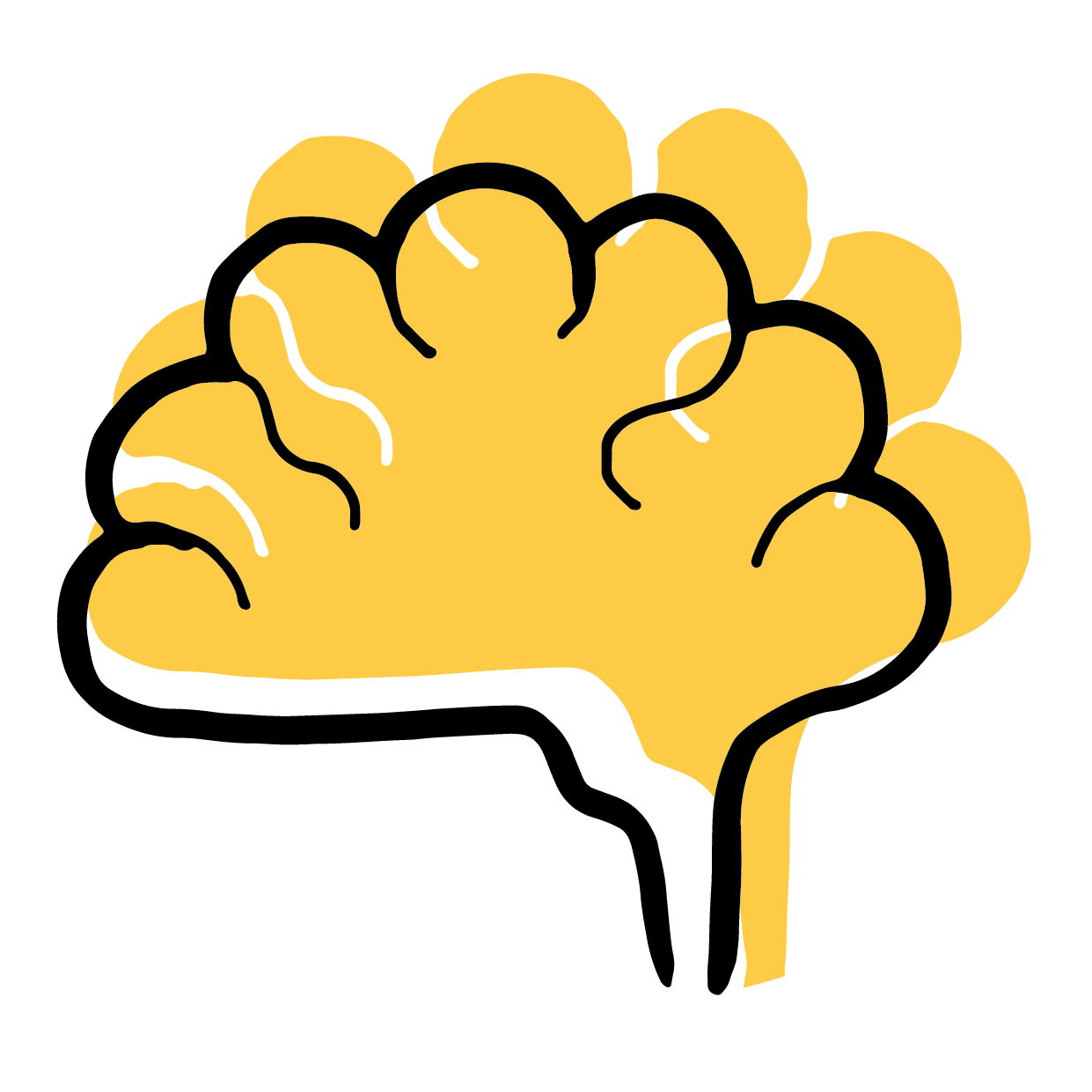 cerveau