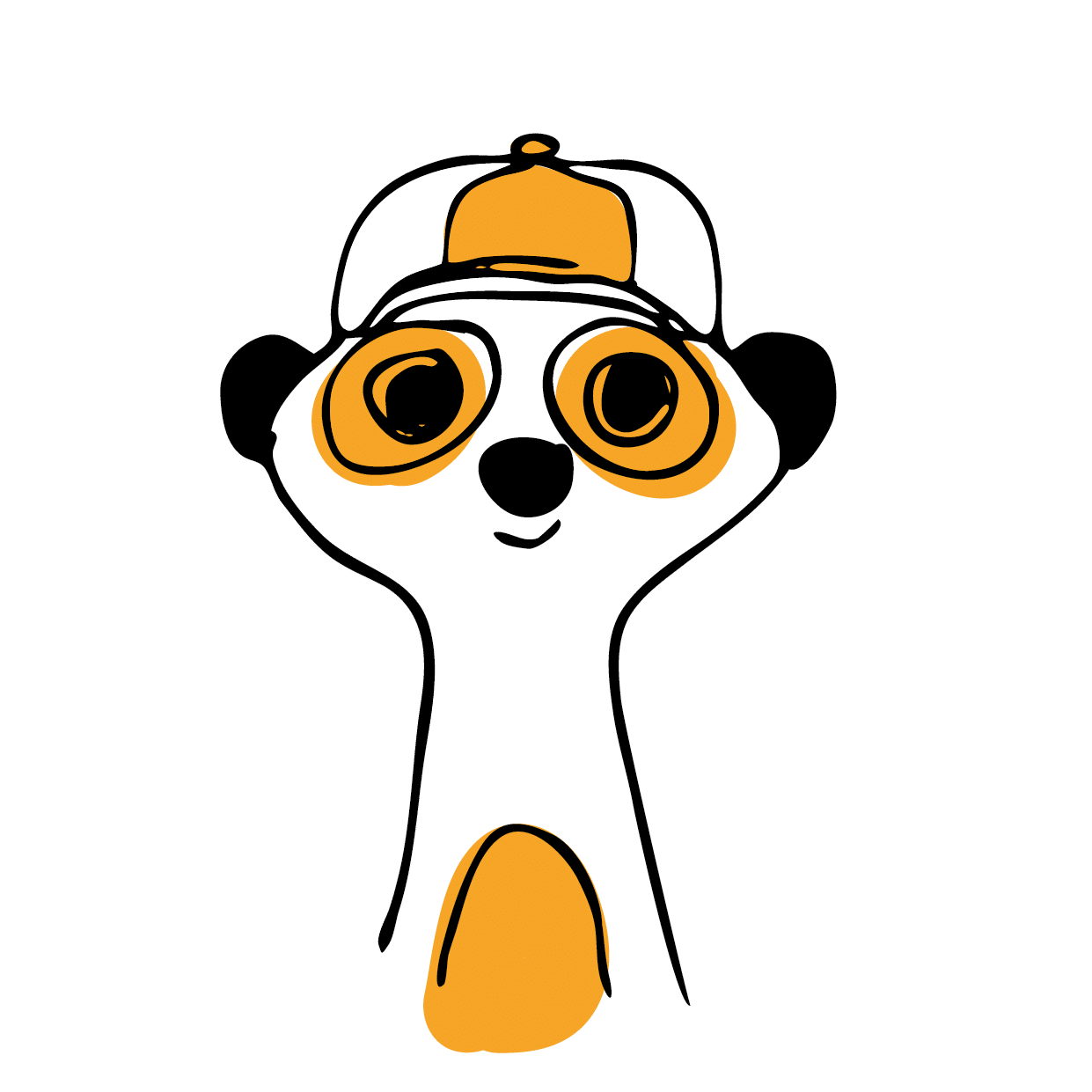 suricats-stagiaire