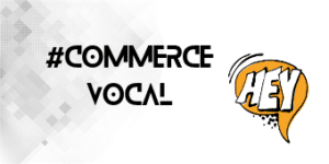 offre-consulting-commerce-vocal