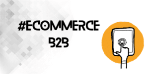 offre-consulting-ecommerce-B2B