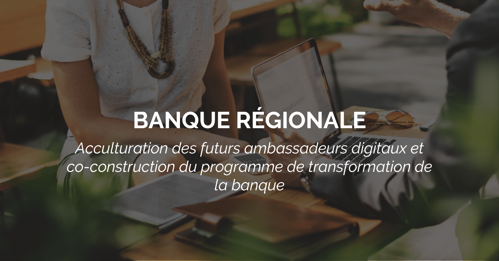 acculturation-digitale-ambassadeurs