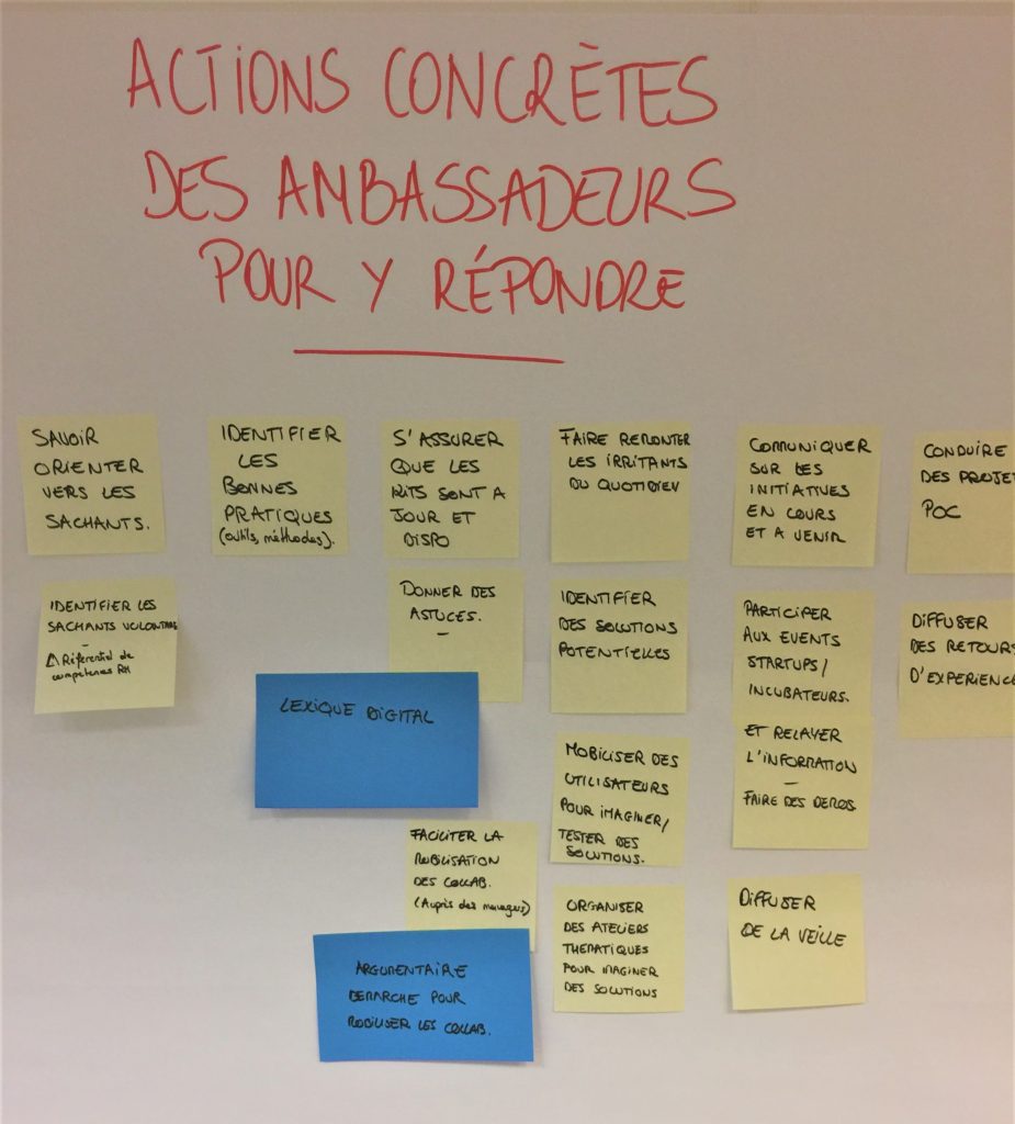 actions-acculturation-ambassadeurs-digitaux