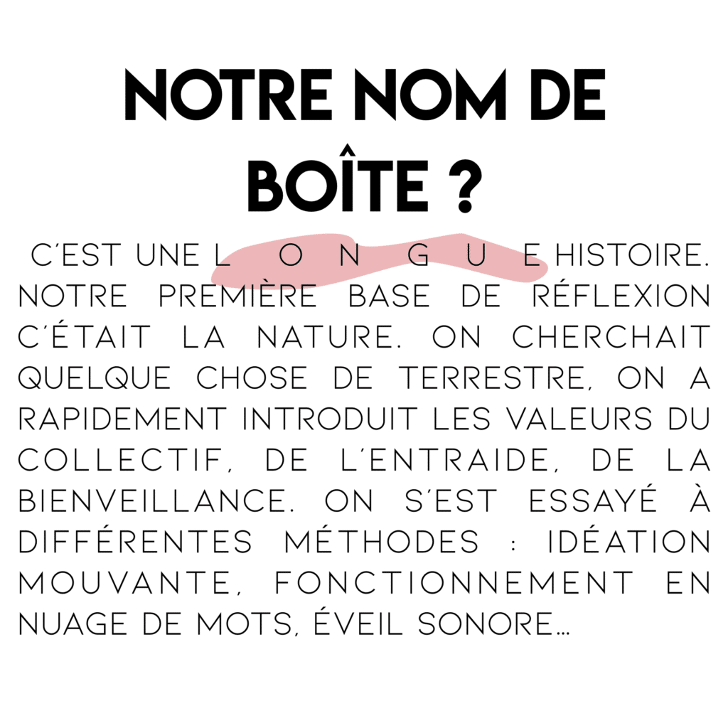 Saga de l'été (en mode détendu) : notre nom de boîte, Suricats! Slice 1 1