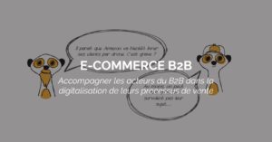 portail-ecommerce-B2B-suricats