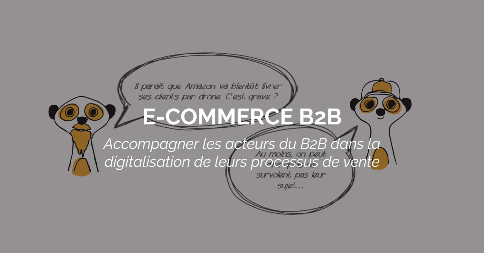 portail-ecommerce-B2B-suricats