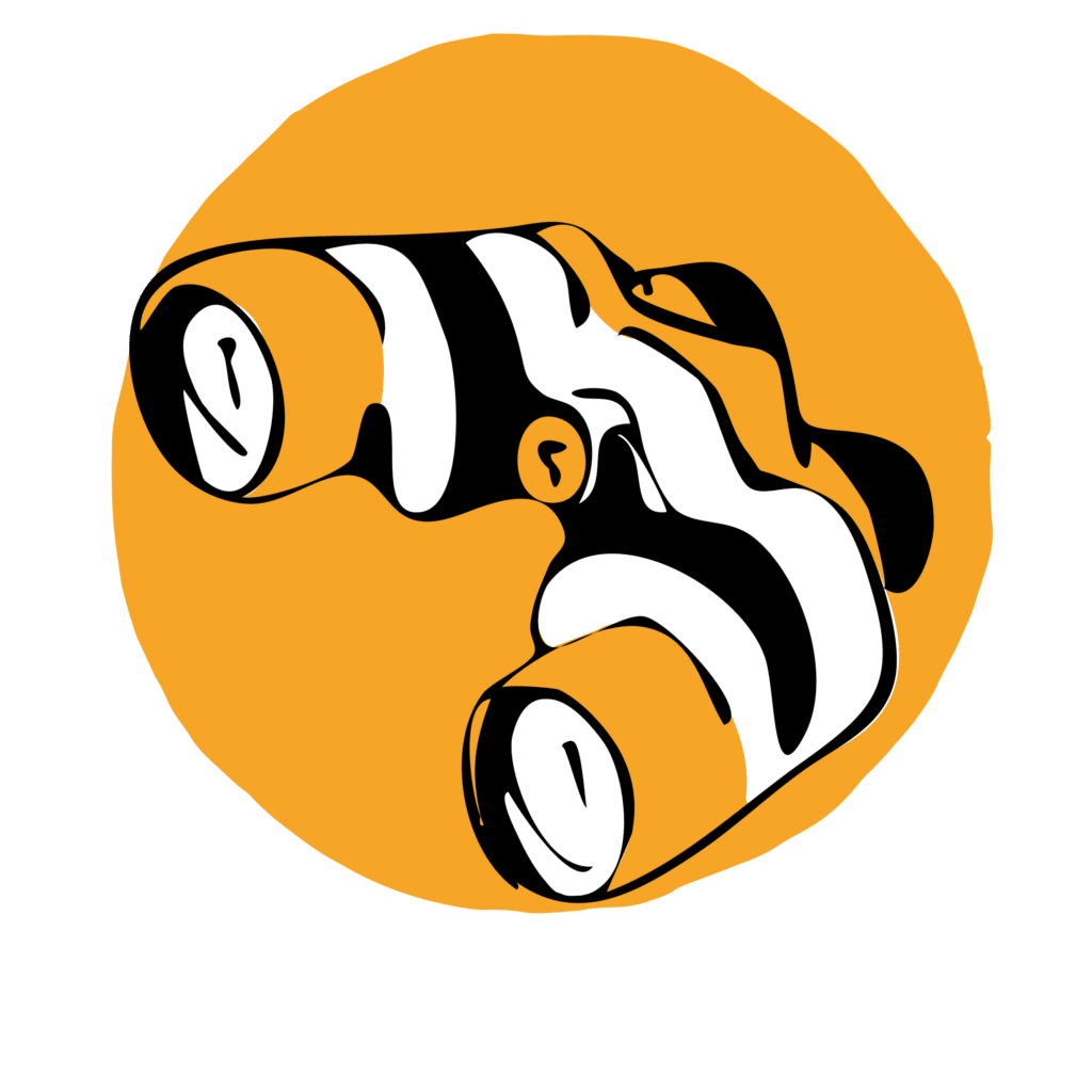 Suricats-stratégie-digitale