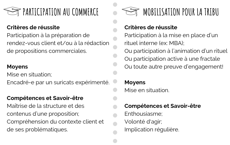 Détail des badges fondamentaux - Commerce et Management