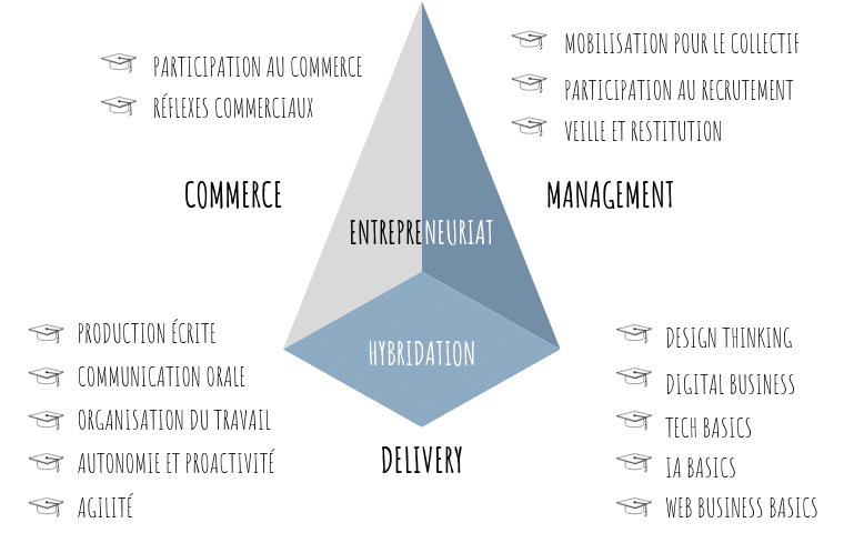 Commerce, Management, Delivery - les badges fondamentaux Suricats