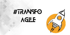 suricats-transformation-agile-modele-operationnel