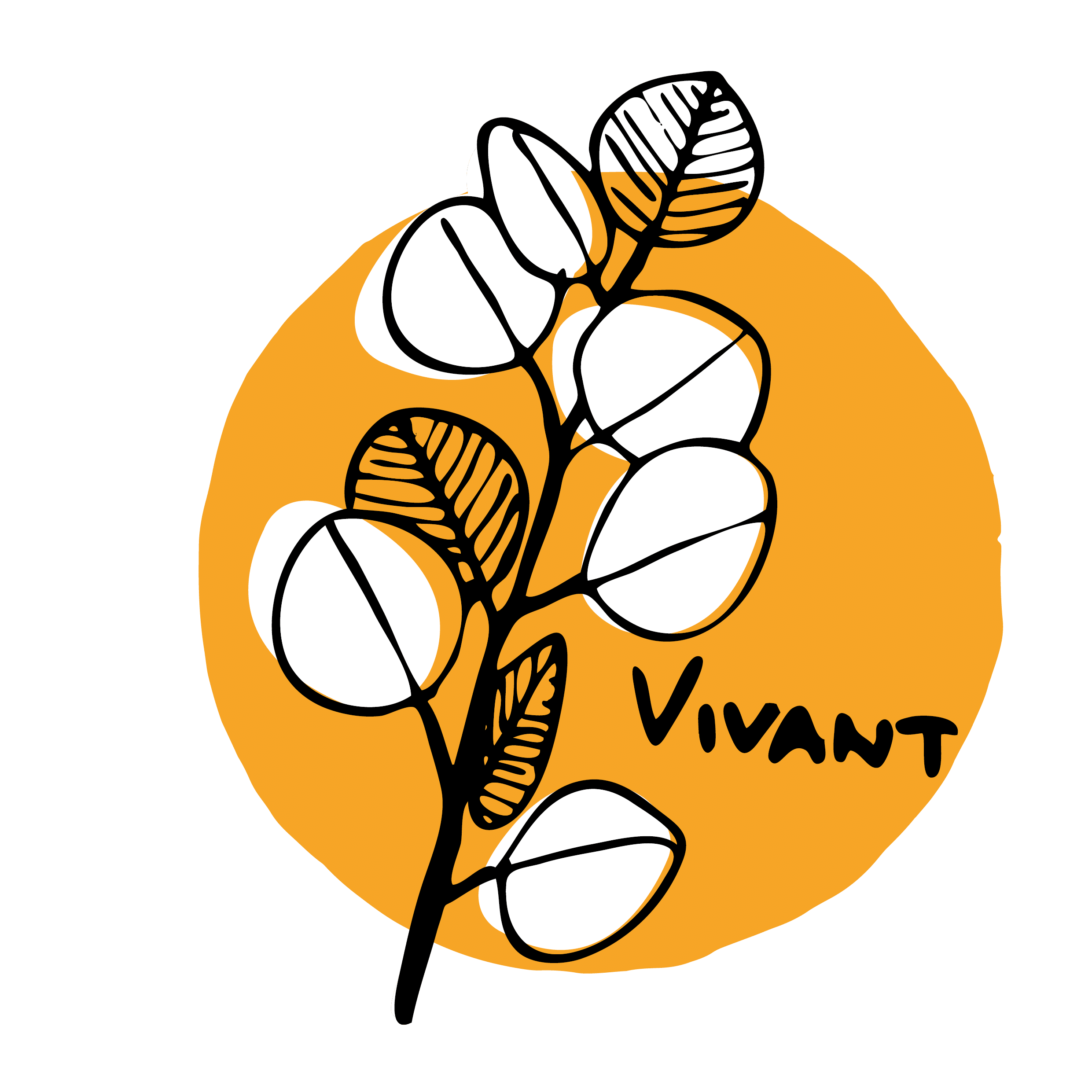 suricats-vivant