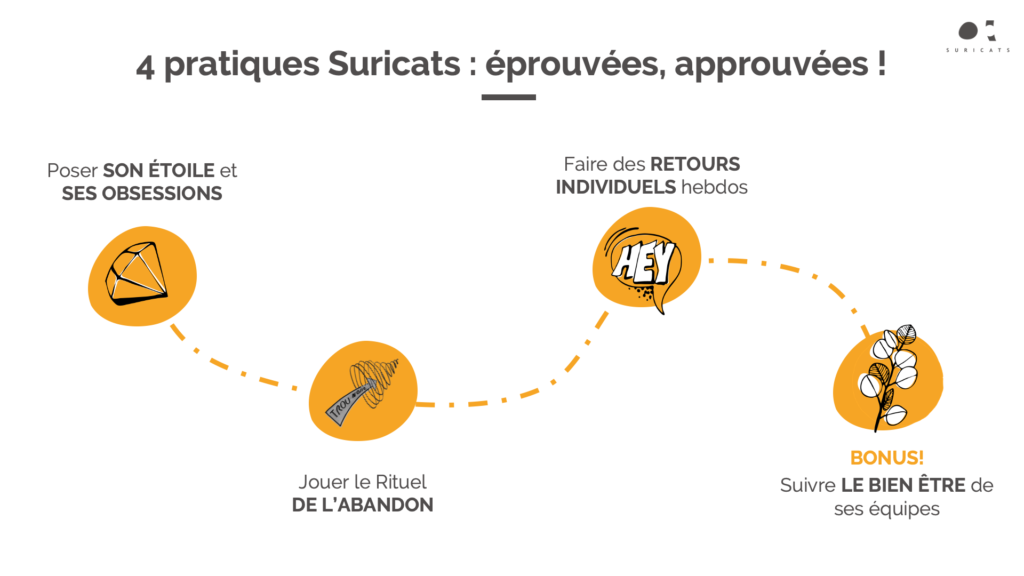 Meetup - Pratiques Suricats