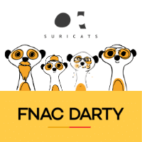 webinar Fnac Darty et Suricats -Tech Frugale durable