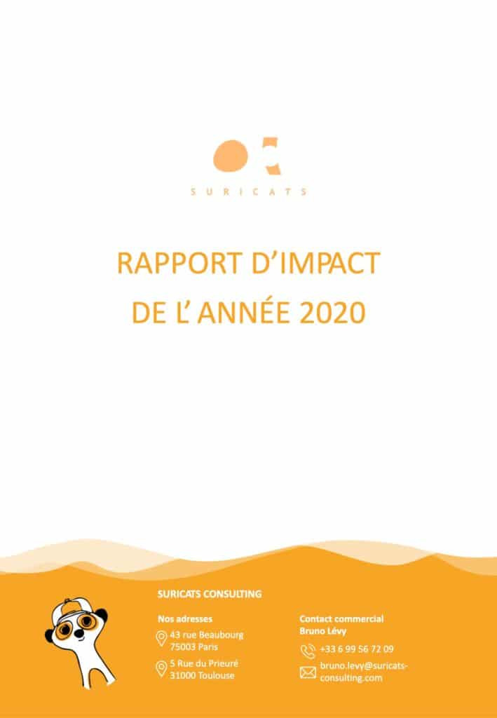 Rapport dimpact Suricats Consulting