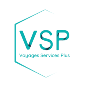 logo vsp