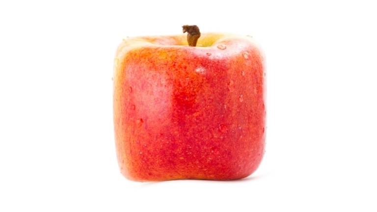 Aujourd’hui n’est plus hier et ne pourra être demain !