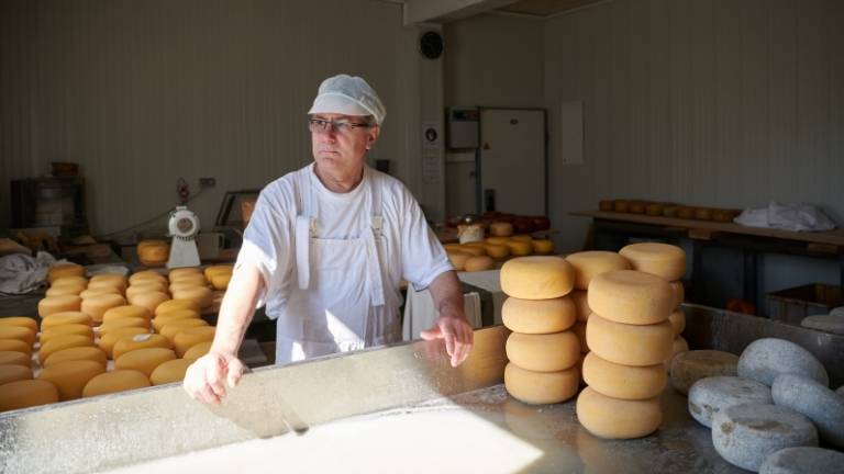 Producteur local de fromages en circuit court