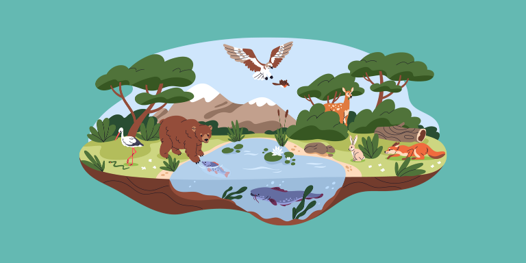 COP15 sur la biodiversité : Notre récap.