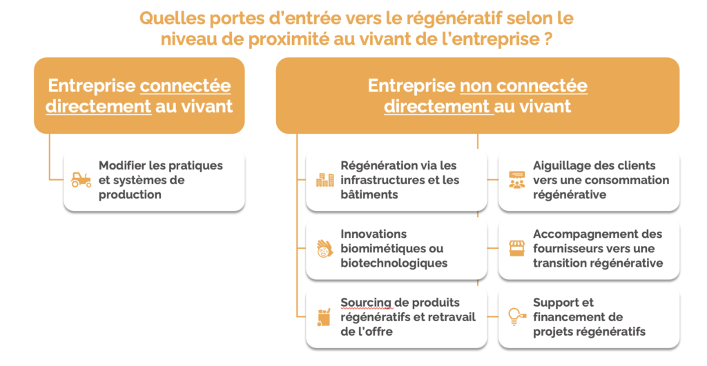 Entreprise régénérative