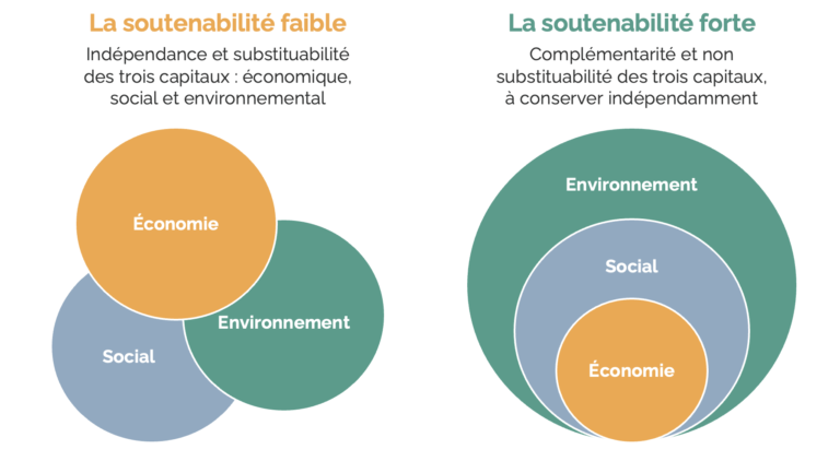 Soutenabilité faible et forte