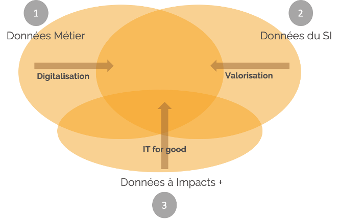 Data Strategie Digitale Schema