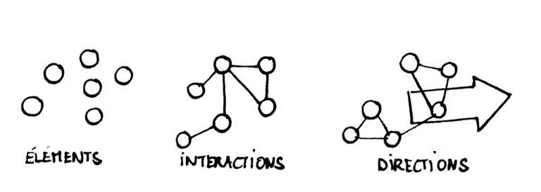 Design d'organisation - Rex Leroy Merlin